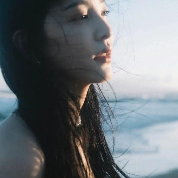 家族片羽海报